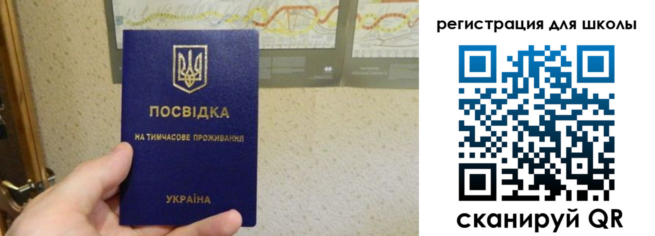 временная прописка в Химках